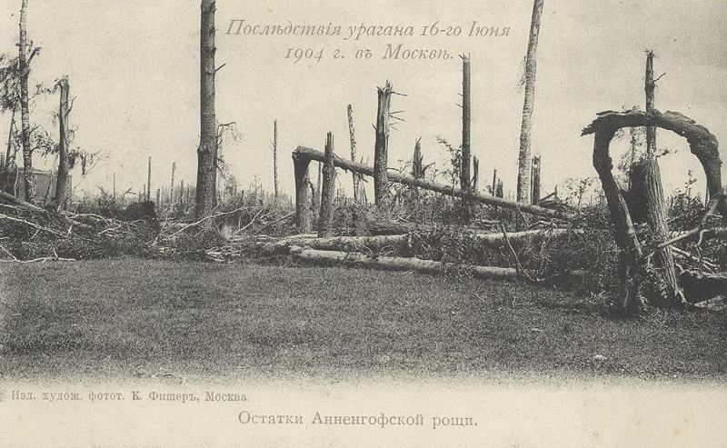 Открытка Последствия урагана 1904 г. в Москве. Декабрь, 1905 г